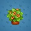 Lush Bouquet #201