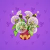 Lush Bouquet #768