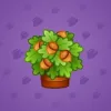 Lush Bouquet #810