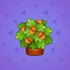 Lush Bouquet #925